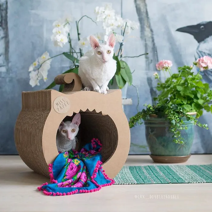 Meet The Cutest Trouble Makers In Finland With Curls And Rabbit Ears