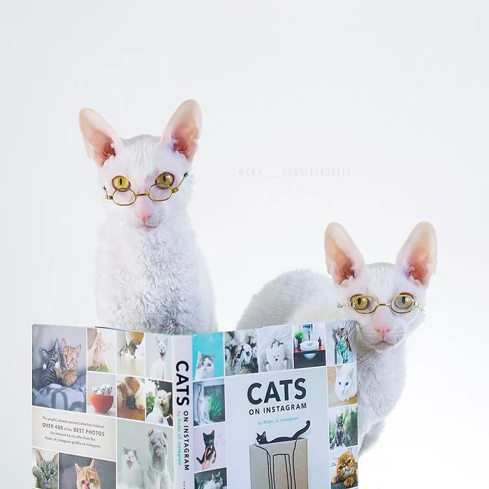 Meet The Cutest Trouble Makers In Finland With Curls And Rabbit Ears
