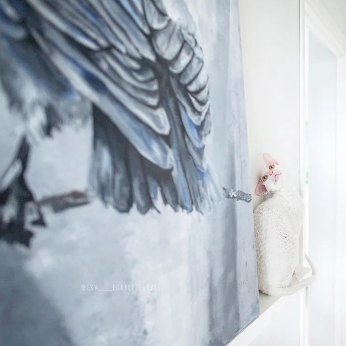 Meet The Cutest Trouble Makers In Finland With Curls And Rabbit Ears