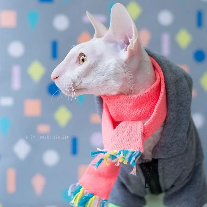 Meet The Cutest Trouble Makers In Finland With Curls And Rabbit Ears