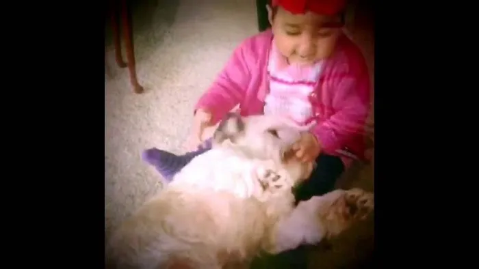 Baby Naira Meets The Doggies