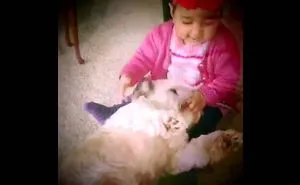 Baby Naira Meets The Doggies