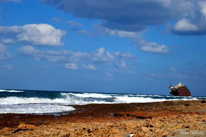 My Beautiful Country Tunisia