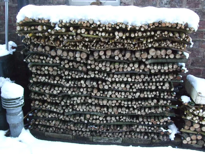 Compost John's Snowy Logpile