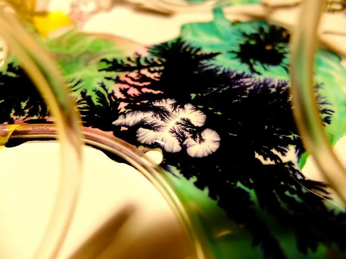 Organic Paint°