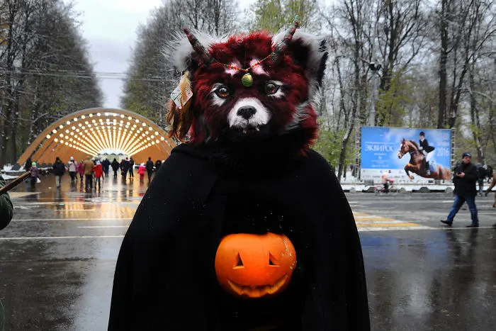 Moscow Furry Celebrate Halloween.