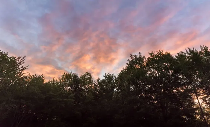 Sunrise In My Back Yard