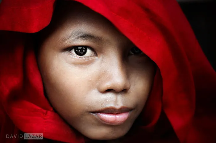 Young Buddhist Monk