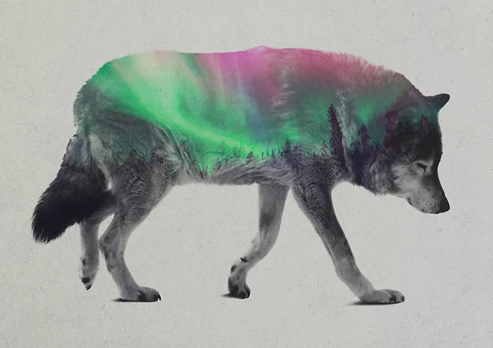 I Combine Animals And Landscapes In My Double Exposure Artwork