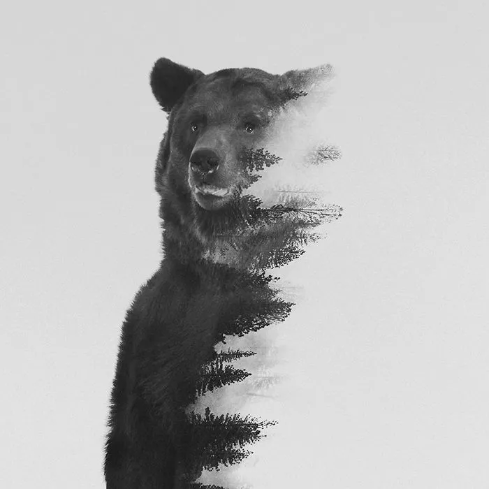 I Combine Animals And Landscapes In My Double Exposure Artwork