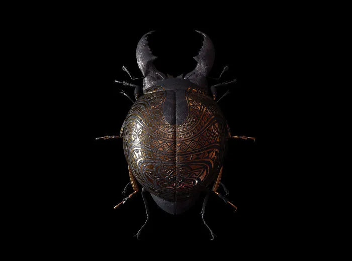 Engraved Entomology: My Project Inspired By Morbid Subjects