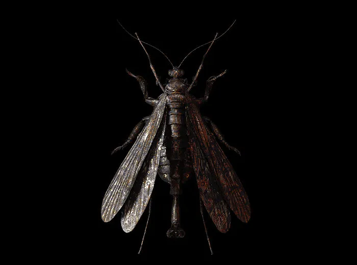 Engraved Entomology: My Project Inspired By Morbid Subjects
