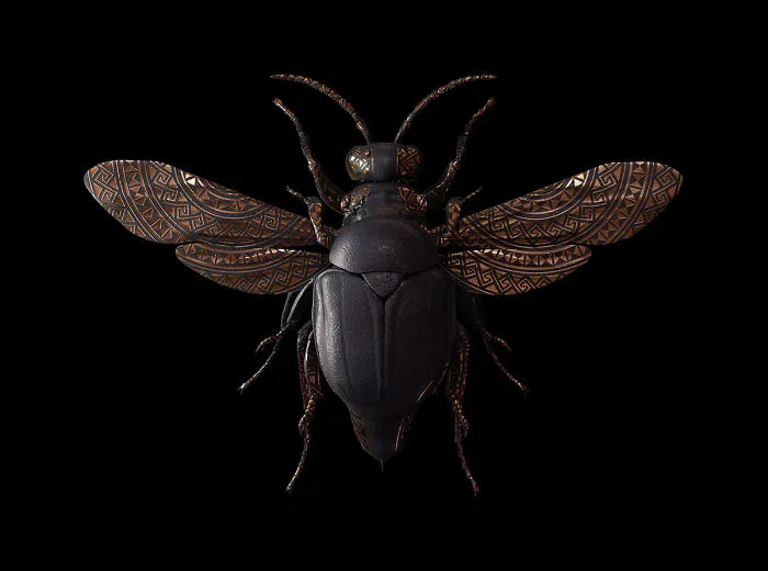 Engraved Entomology: My Project Inspired By Morbid Subjects