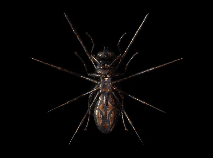 Engraved Entomology: My Project Inspired By Morbid Subjects