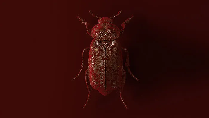 Engraved Entomology: My Project Inspired By Morbid Subjects