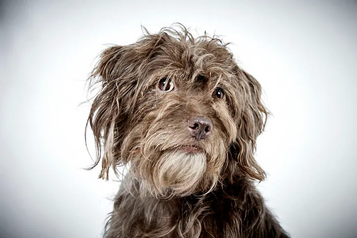 Baxter