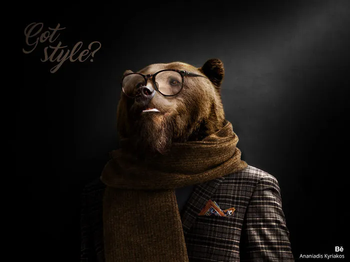 The Hipster Bear