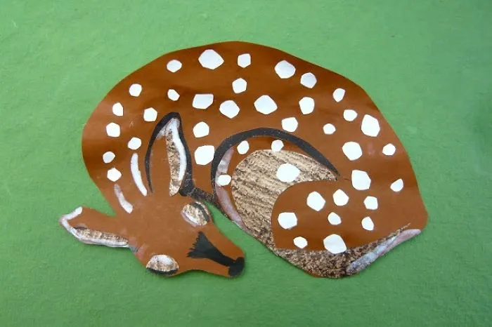 Collage Fawn