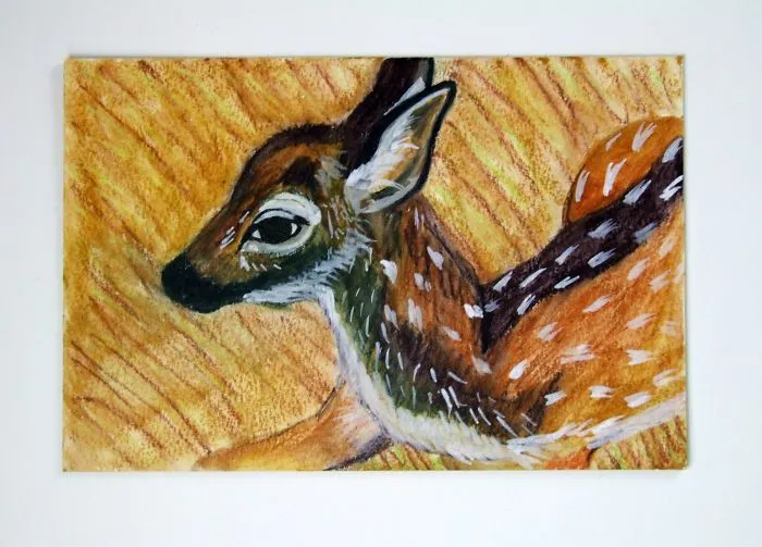 Fawn Profile