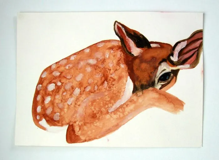 Watercolour Fawn