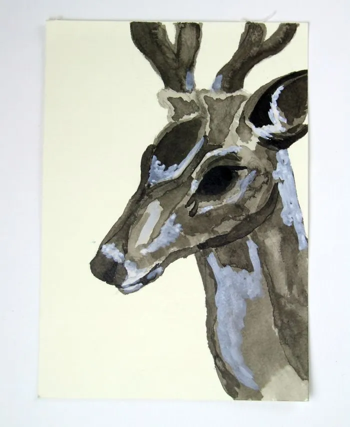 Inked Buck