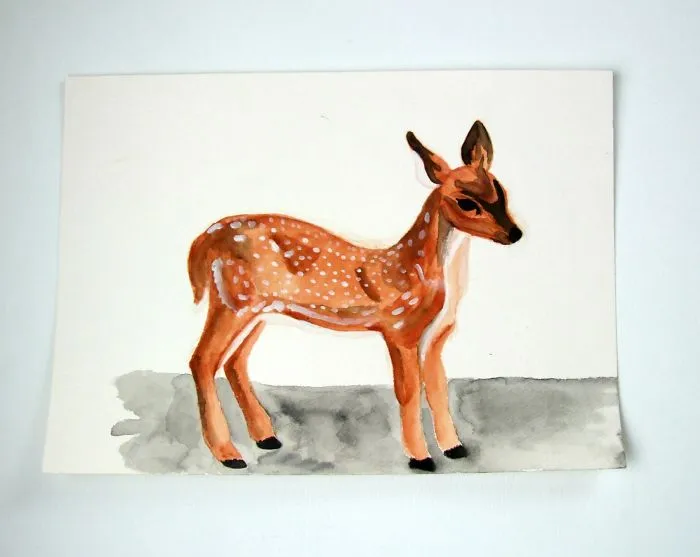 Chital Fawn