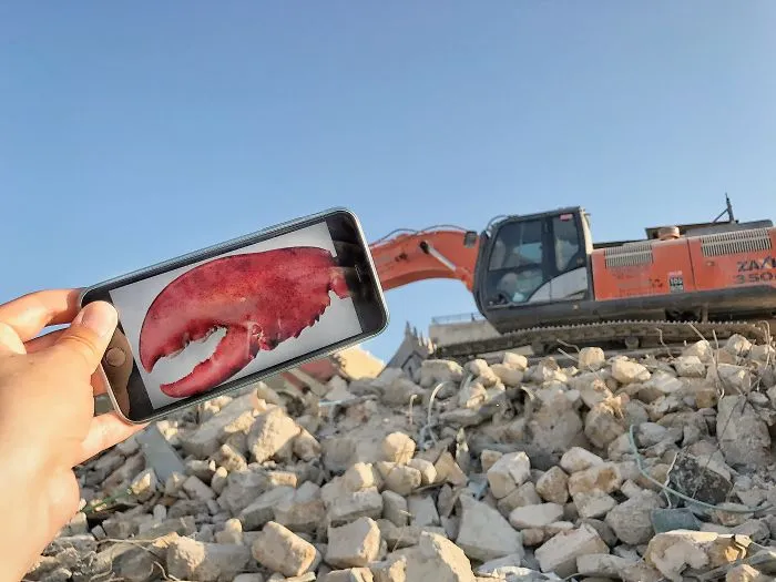 I Bring Everyday Objects To Life By Adding A Twist To Them Using My Phone