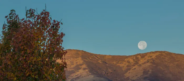 76 Hilarious Reactions To The Disappointing Supermoon