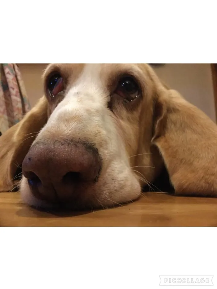 Those Eyes❤️👀