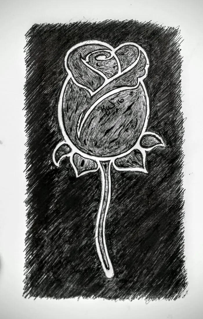 Basic Drawing