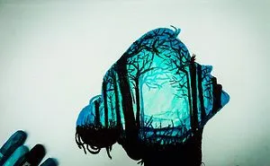 Imaginagram