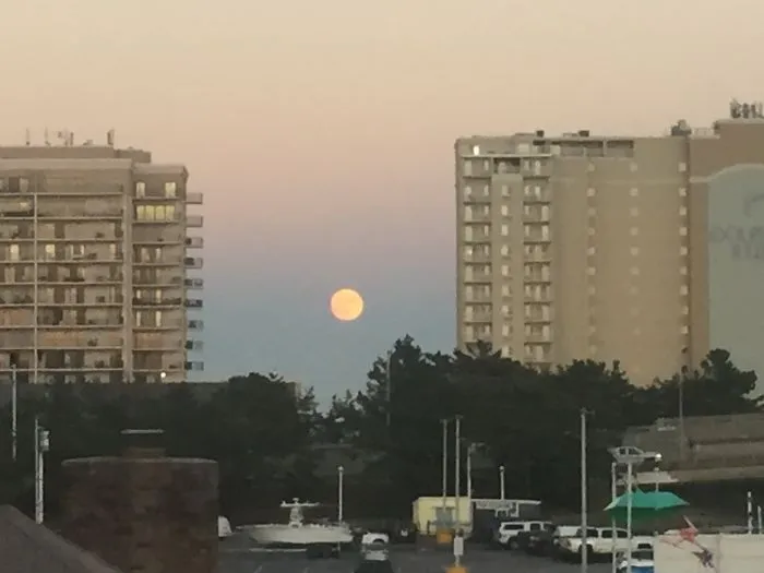76 Hilarious Reactions To The Disappointing Supermoon