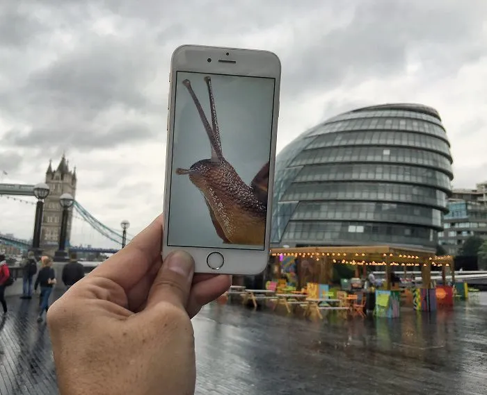 I Bring Everyday Objects To Life By Adding A Twist To Them Using My Phone