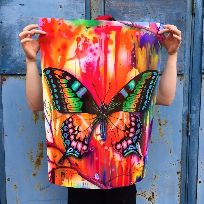 Bizr Butterfly