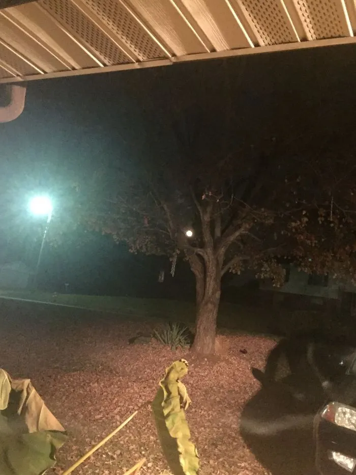 76 Hilarious Reactions To The Disappointing Supermoon