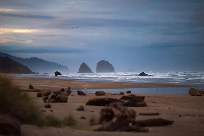 Cannon Beach, Or At Sunrise On The Morning Of My 30th Birthday