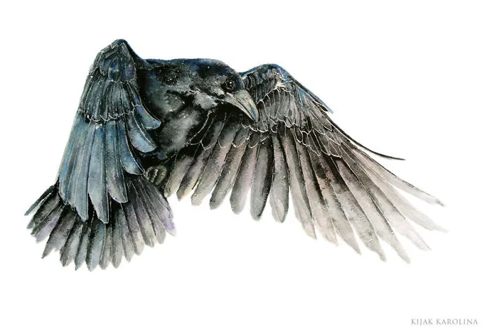 Raven