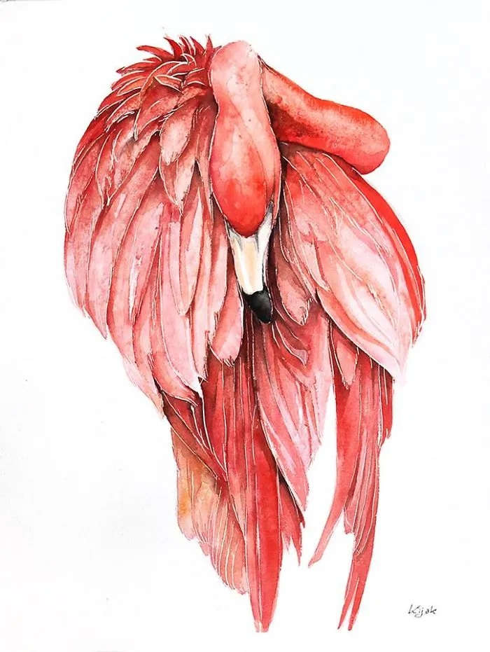 Pink Flamingo
