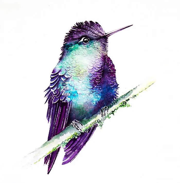 Hummngbird