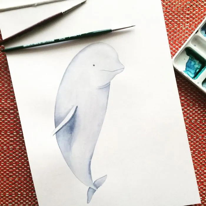 Beluga Whale