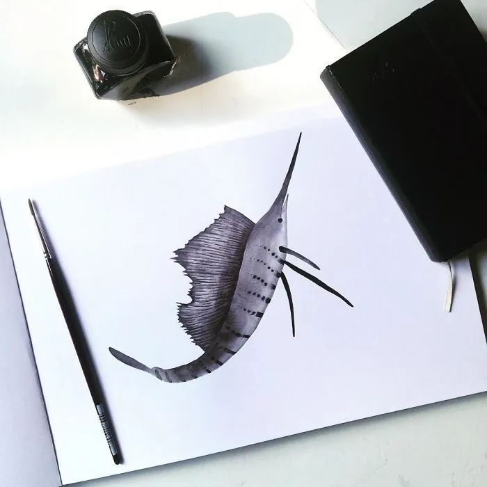 Sailfish