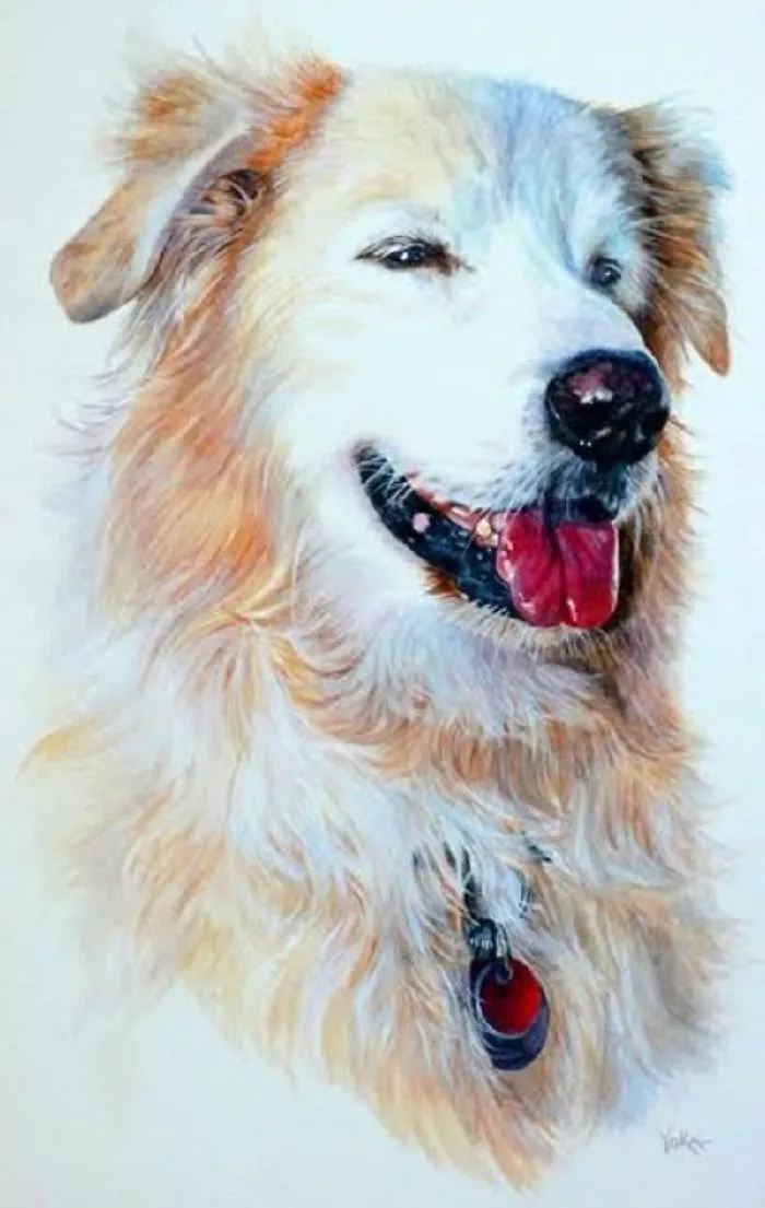 Le Dog