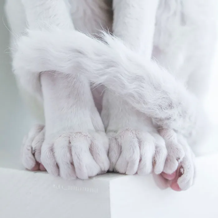 Meet The Cutest Trouble Makers In Finland With Curls And Rabbit Ears