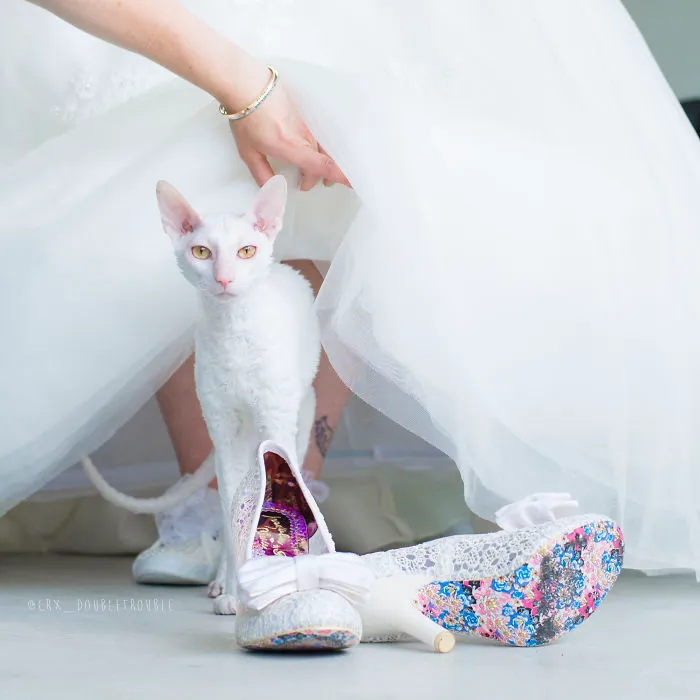 Meet The Cutest Trouble Makers In Finland With Curls And Rabbit Ears