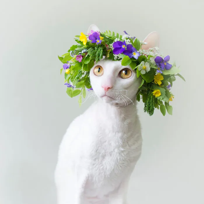 Meet The Cutest Trouble Makers In Finland With Curls And Rabbit Ears