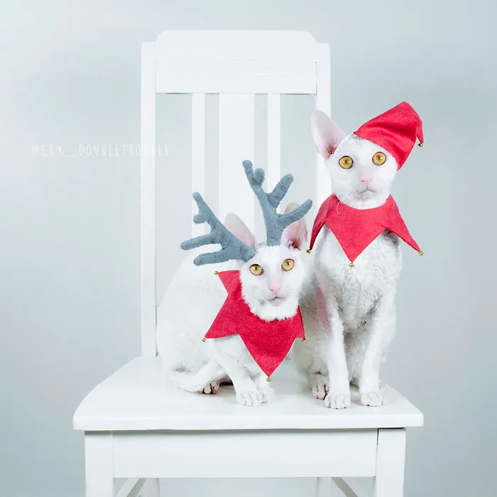 Meet The Cutest Trouble Makers In Finland With Curls And Rabbit Ears