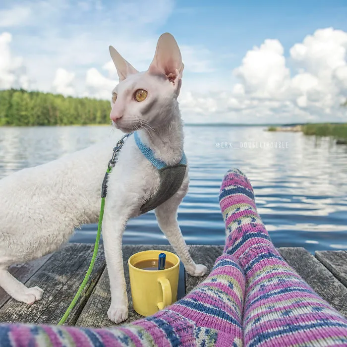 Meet The Cutest Trouble Makers In Finland With Curls And Rabbit Ears