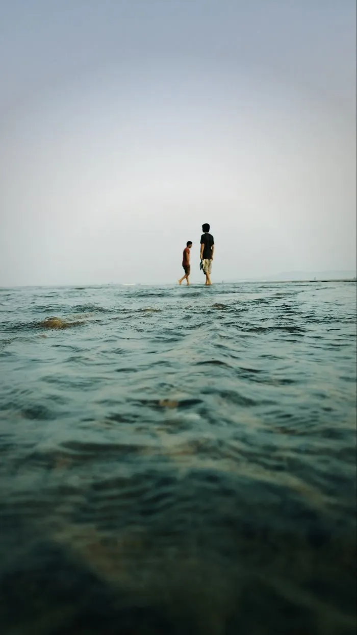 Nearrr Sea