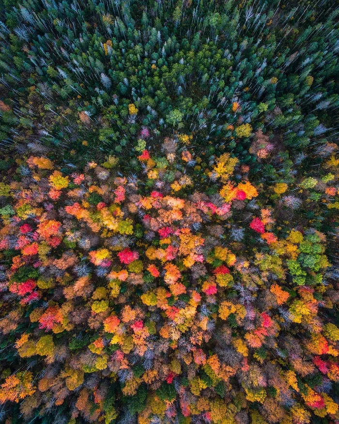 New Hampshire
