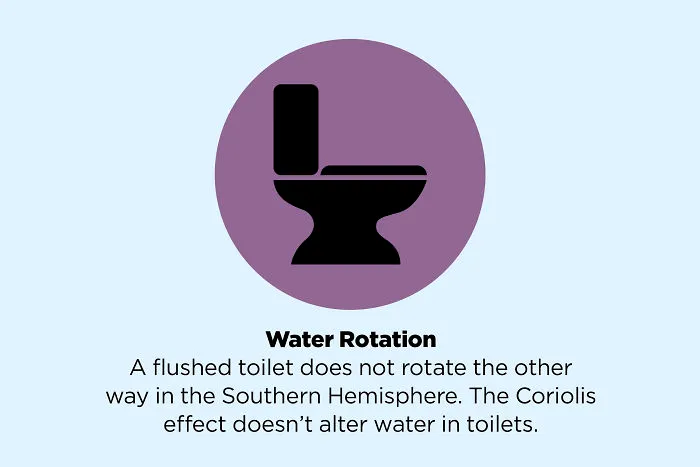 These 50 Facts You Always Believed Are Actually Fake